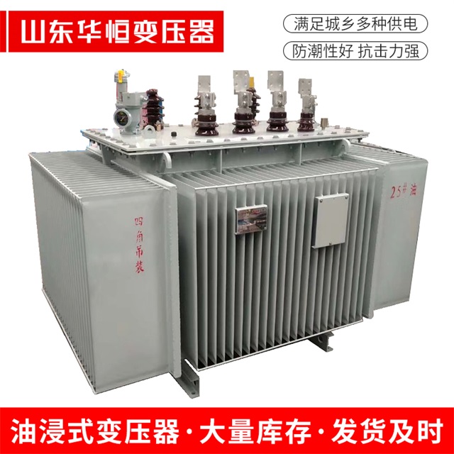 S13-10000/35偏关偏关偏关电力变压器厂家