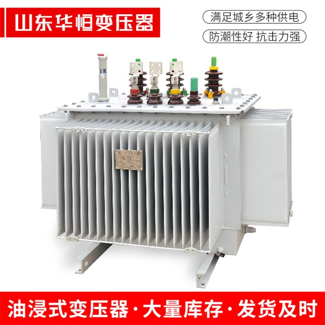 S13-10000/35偏关偏关偏关电力变压器
