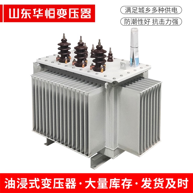 S13-10000/35偏关偏关偏关油浸式变压器厂家